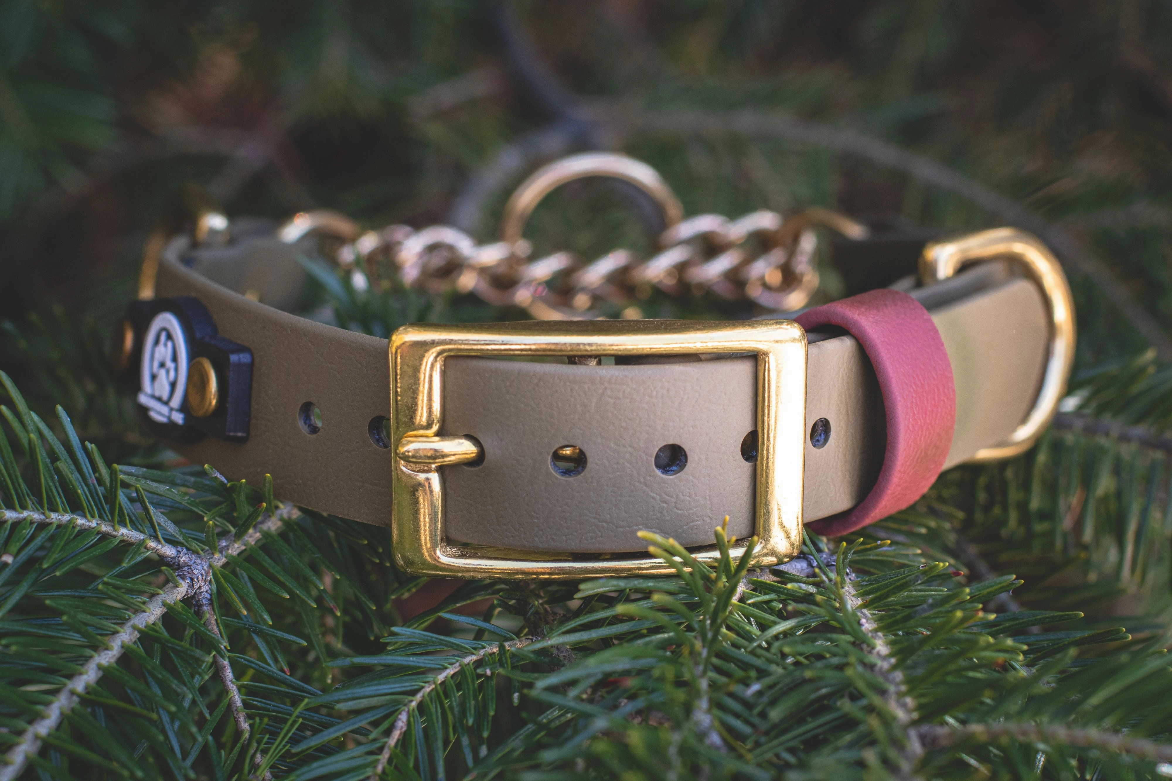 1" Waterproof BioThane Brass Buckle Martingale Collar