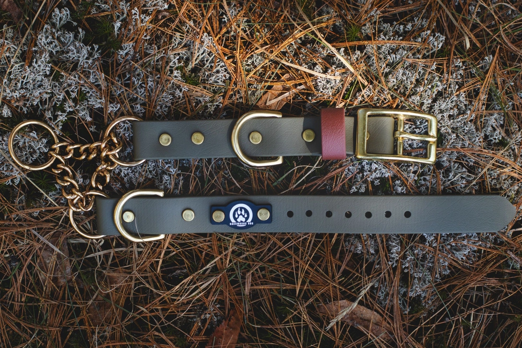 1" Waterproof BioThane Brass Buckle Martingale Collar