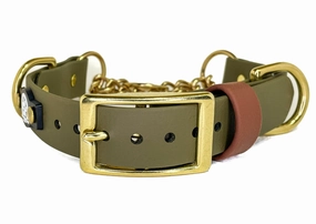 1" Waterproof BioThane Brass Buckle Martingale Collar