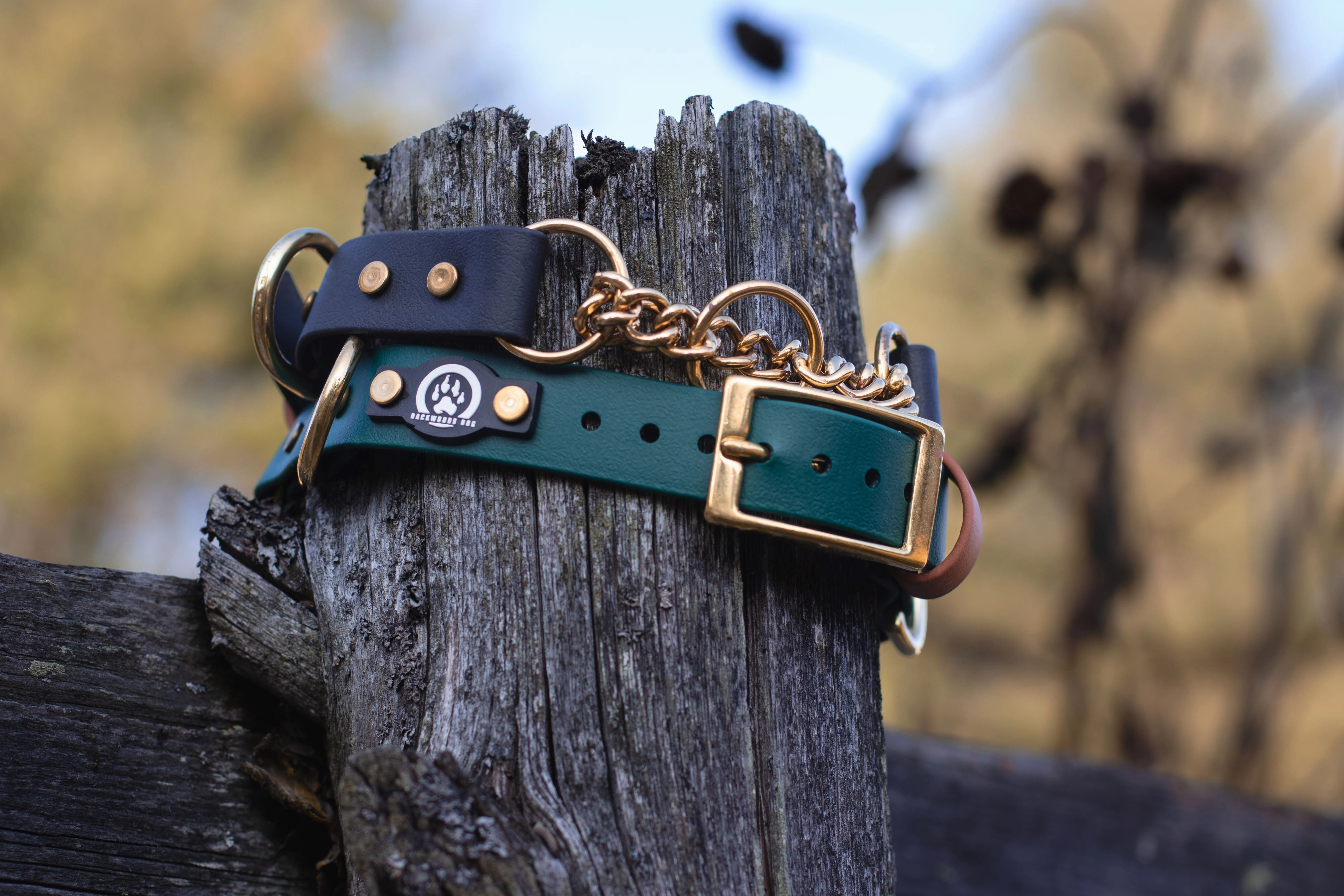 1" Waterproof BioThane Brass Buckle Martingale Collar