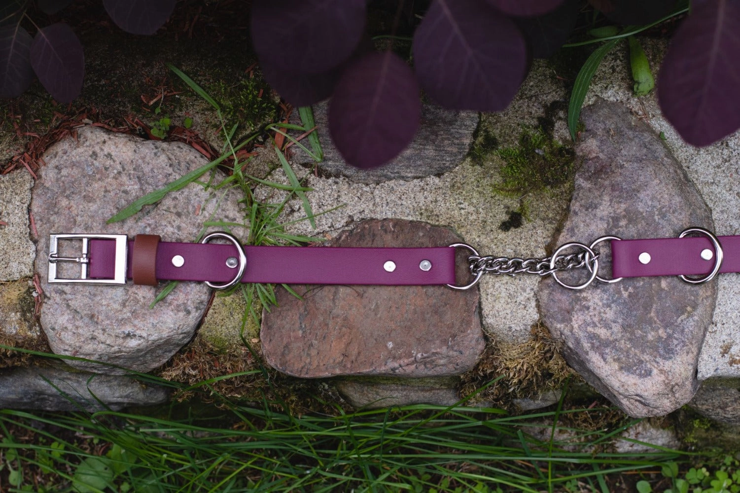 1" Waterproof Stainless Steel Buckle Martingale Collar