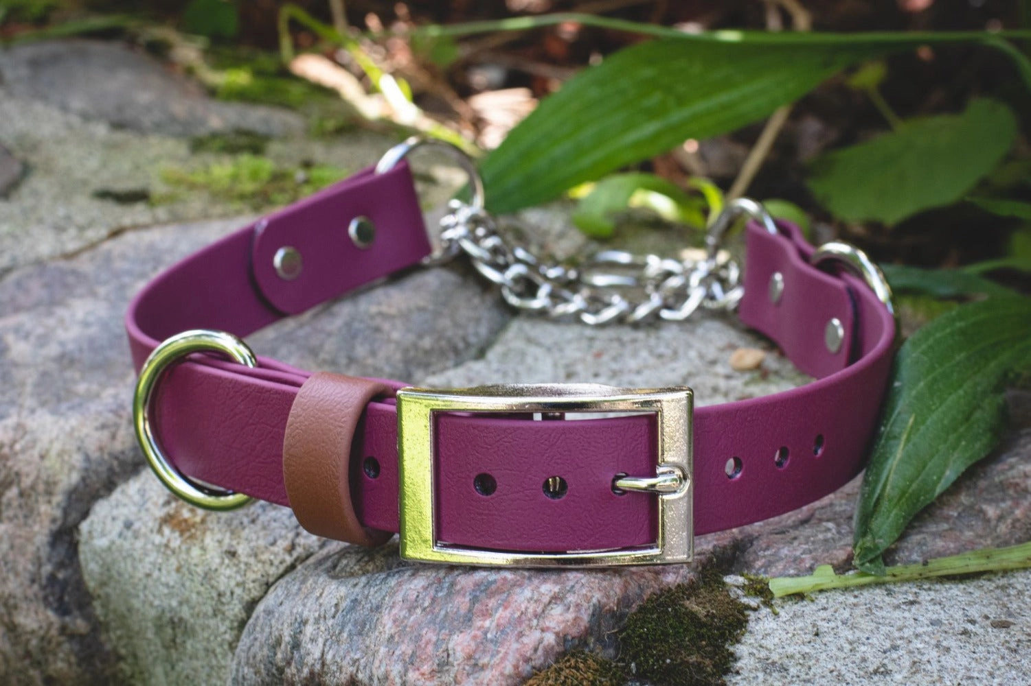 1" Waterproof Stainless Steel Buckle Martingale Collar