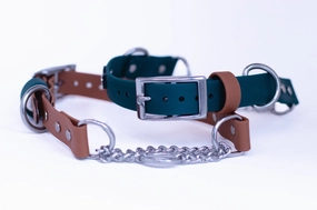 1" Waterproof Stainless Steel Buckle Martingale Collar