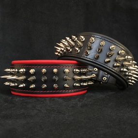 "Danger" collar