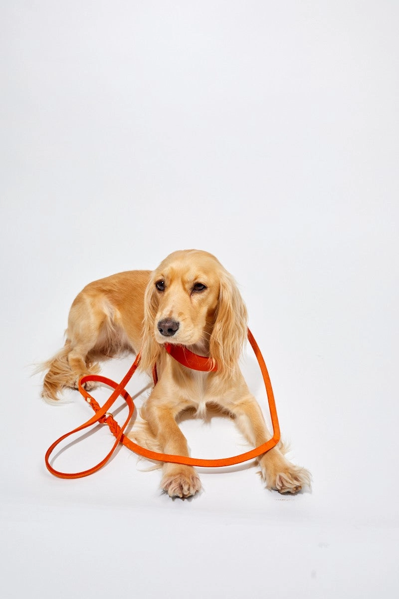 Butter Leather 3x Adjustable Dog Leash - Mango