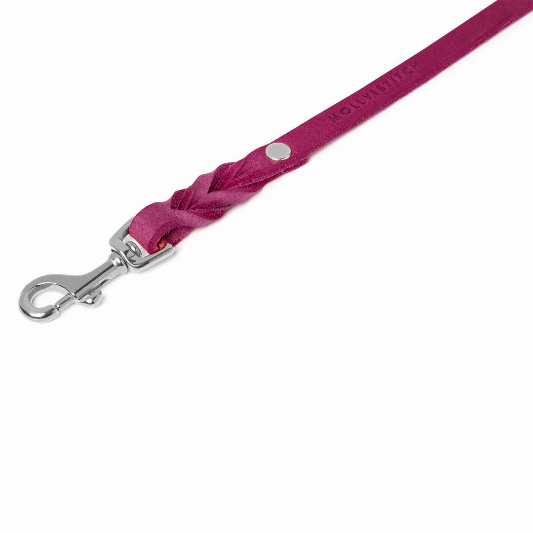 Butter Leather City Dog Leash - Flamingo
