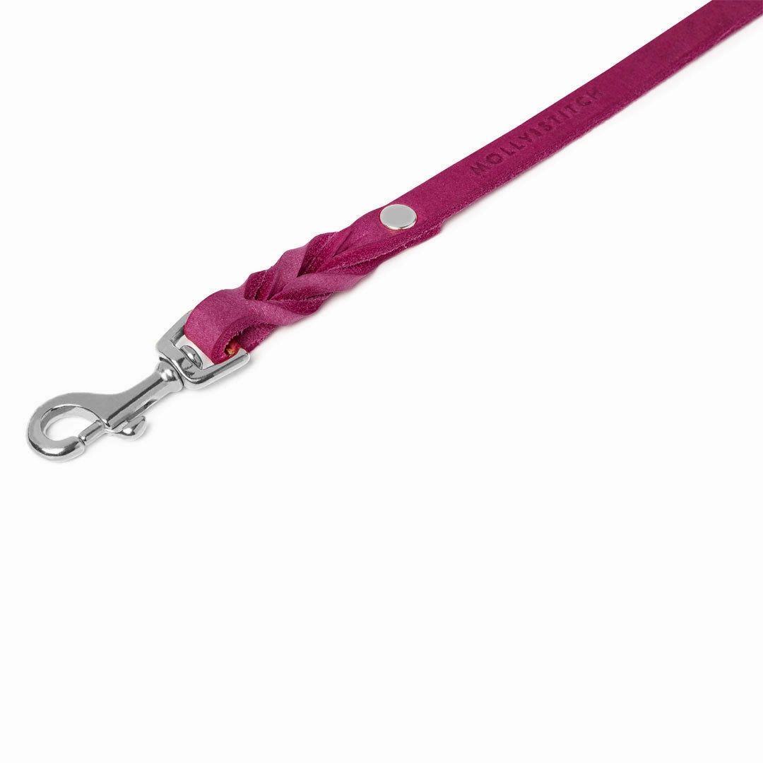 Butter Leather City Dog Leash - Flamingo