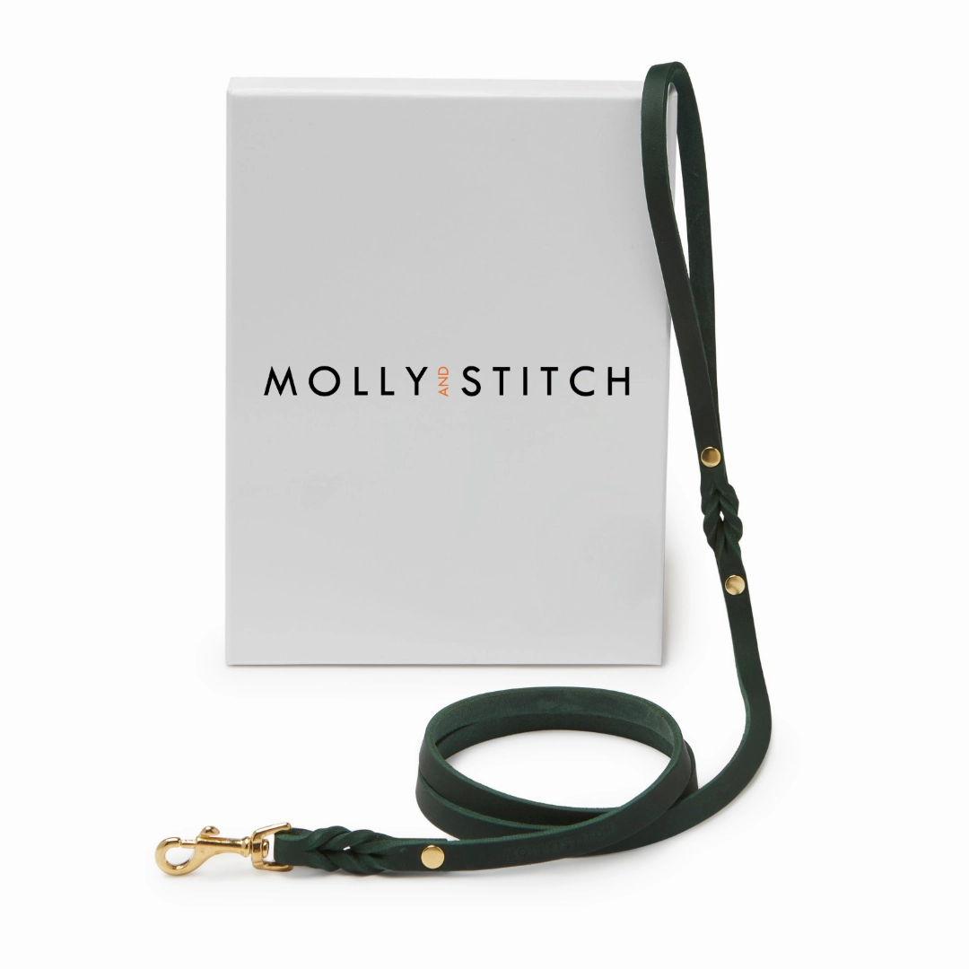 Butter Leather City Dog Leash - Forest Green