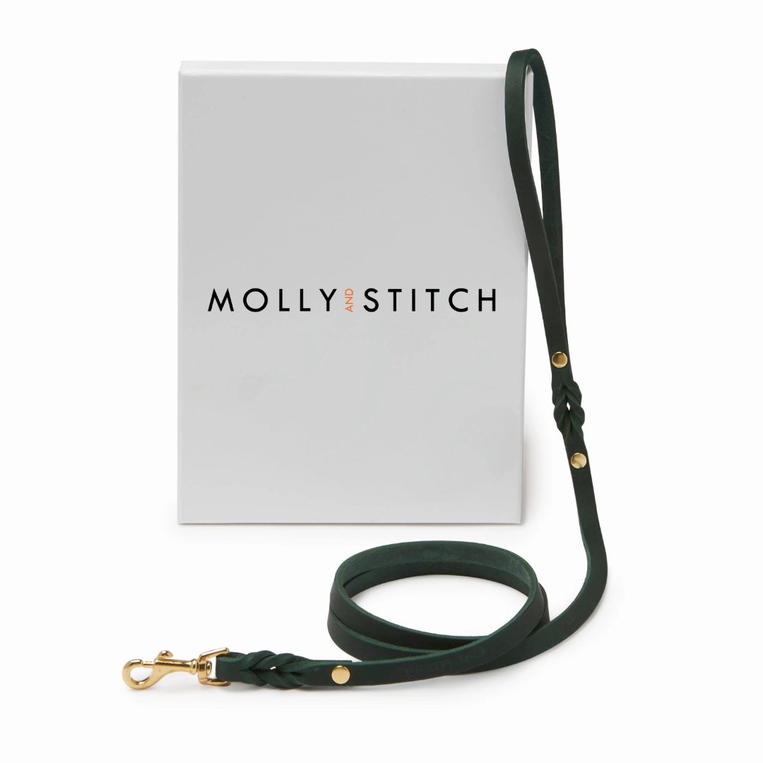 Butter Leather City Dog Leash - Forest Green
