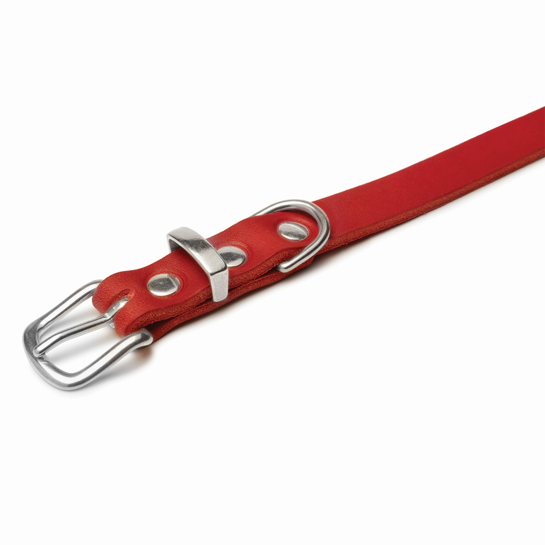 Butter Leather Dog Collar - Chili Red