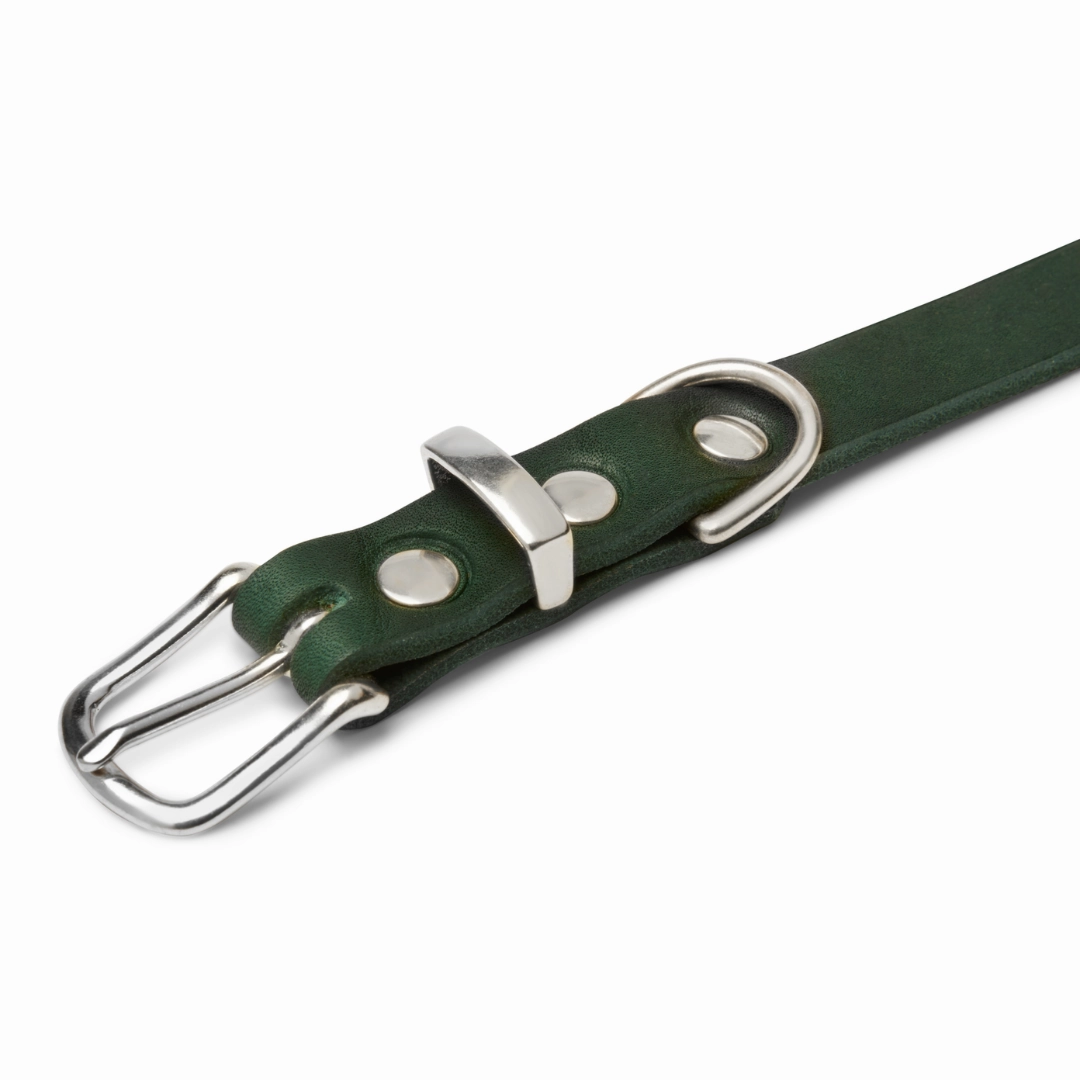 Butter Leather Dog Collar - Forest Green