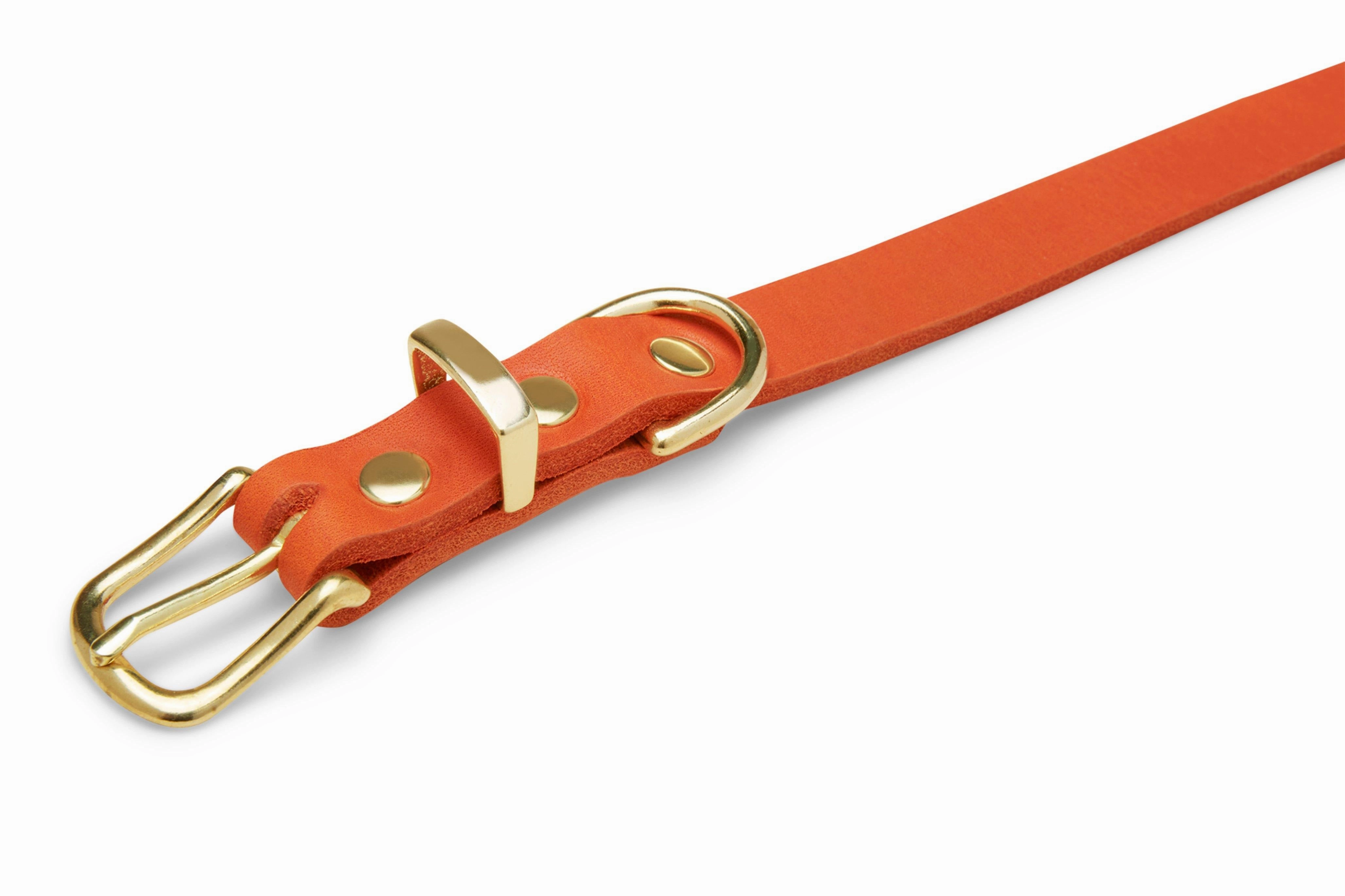 Butter Leather Dog Collar - Mango