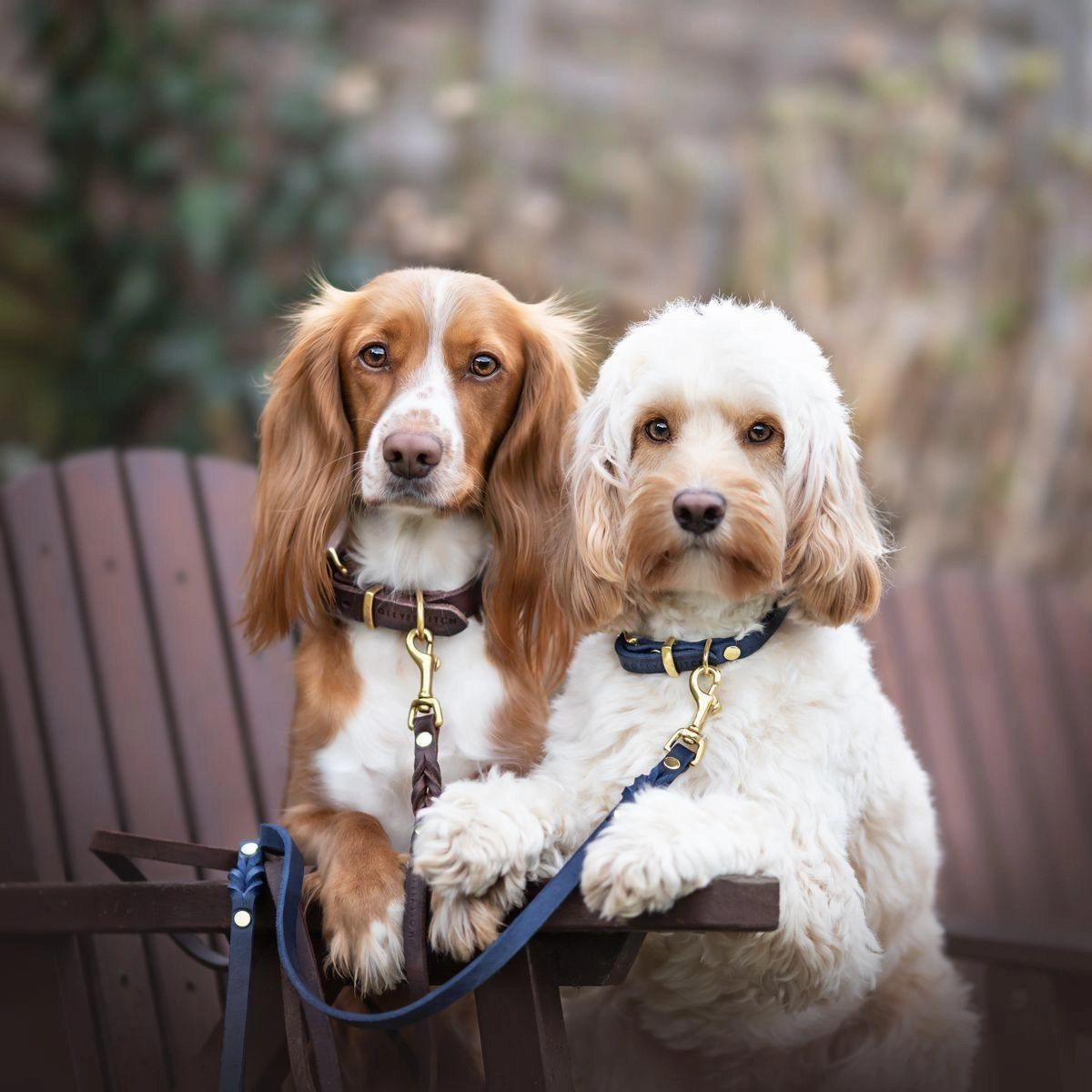 Butter Leather Dog Collar - Navy Blue
