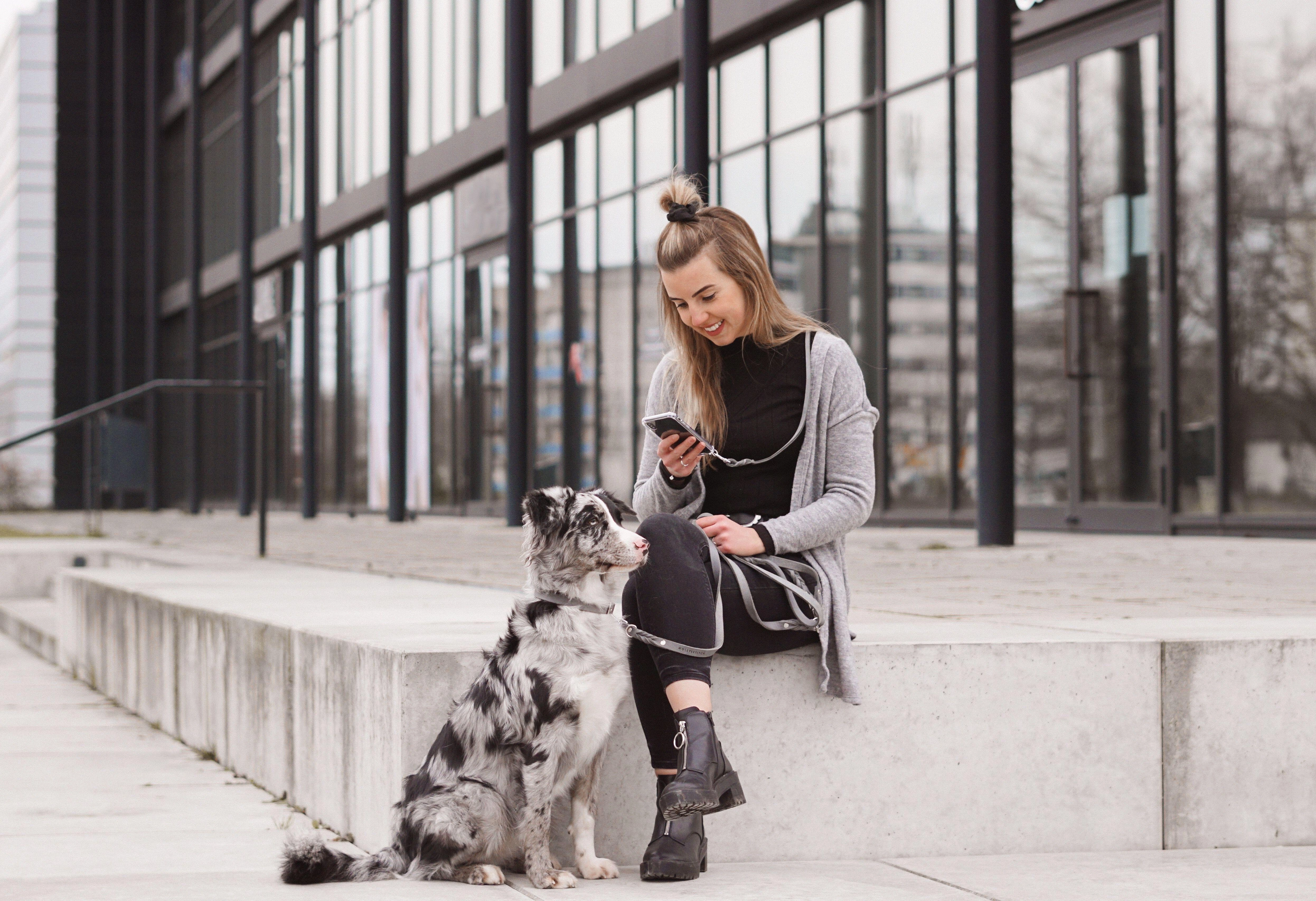 Butter Leather Dog Collar - Timeless Grey