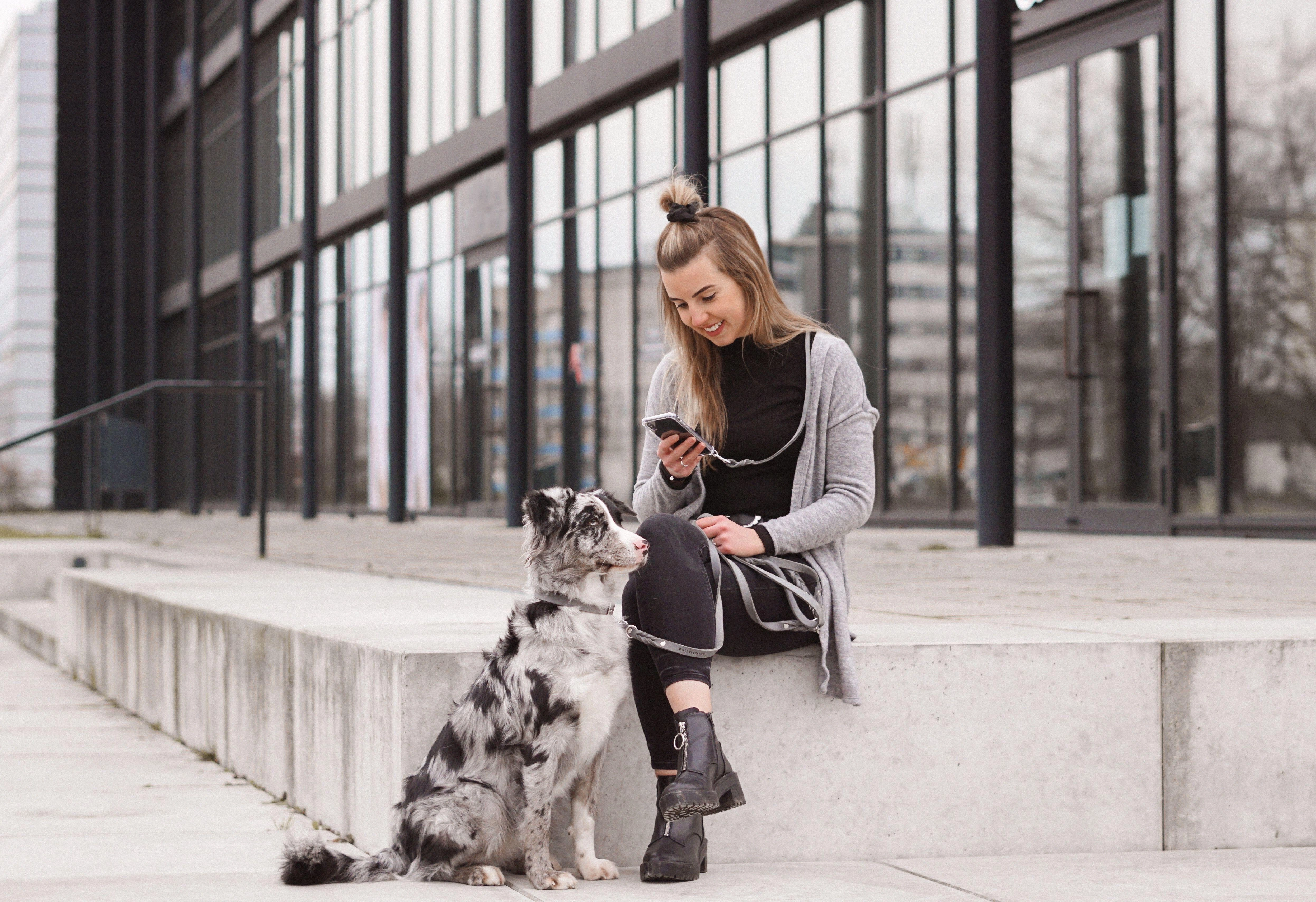 Butter Leather Dog Collar - Timeless Grey