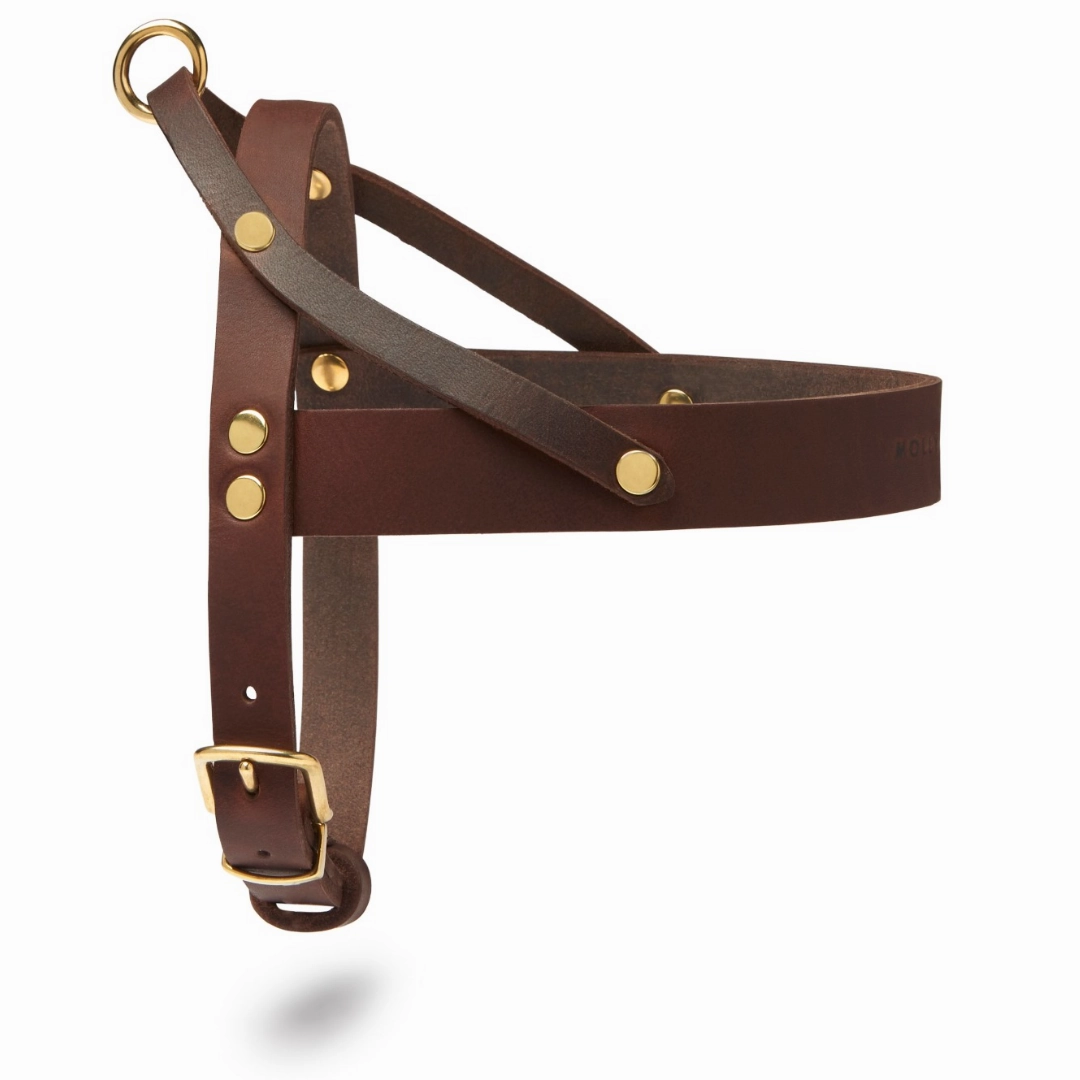 Butter Leather Dog Harness - Classic Brown