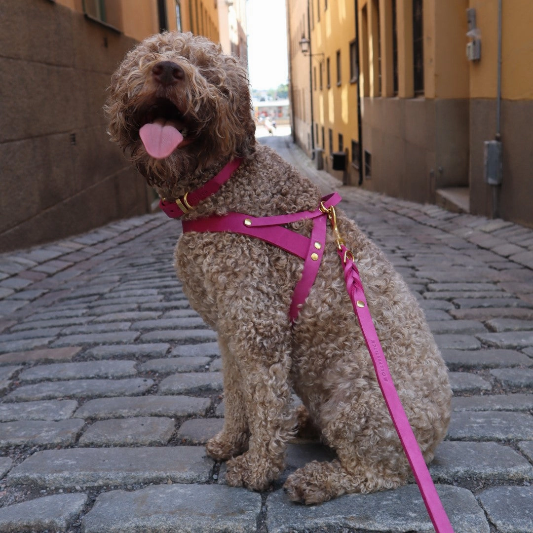 Butter Leather Dog Harness - Flamingo