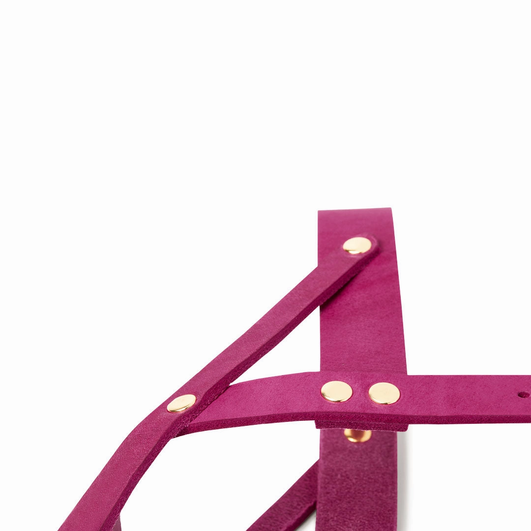 Butter Leather Dog Harness - Flamingo