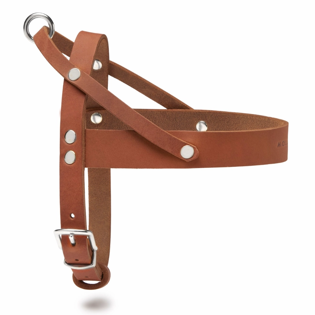 Butter Leather Dog Harness - Sahara Cognac