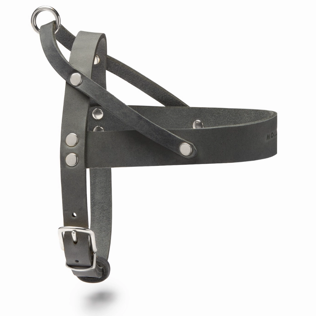 Butter Leather Dog Harness - Timeless Gray