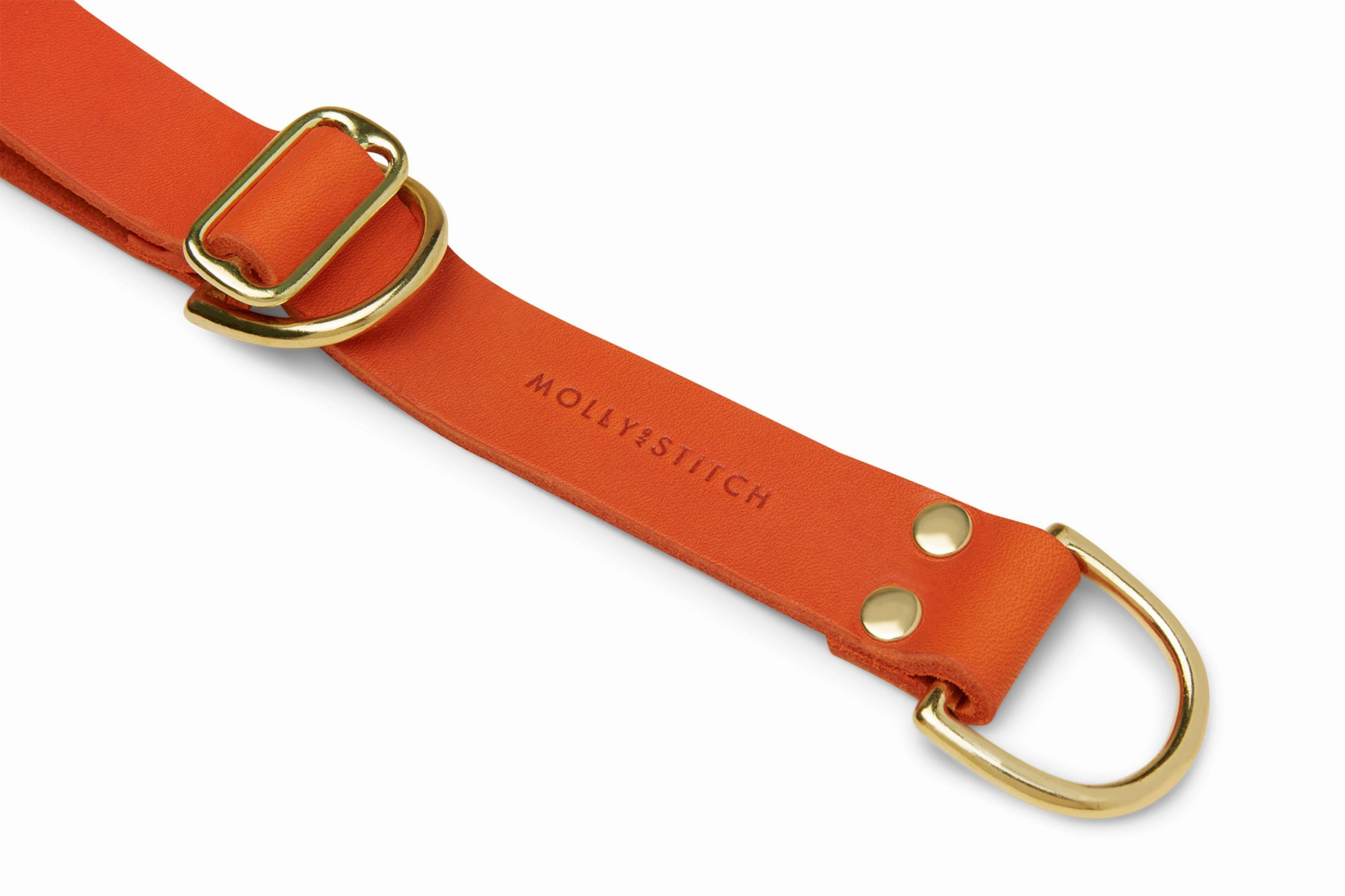 Butter Leather Retriever Dog Collar - Mango