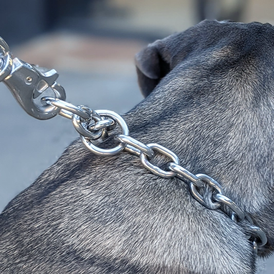 Chain Dog Collar - Titan Ultra Heavy Chain Link
