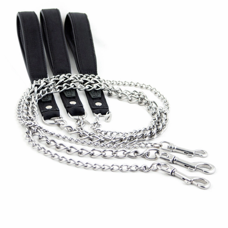 Chain Dog Leash