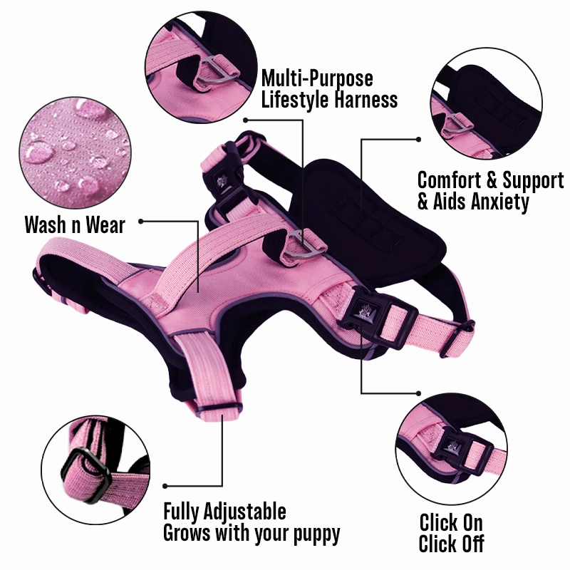 Dog Harness - Active X Pink