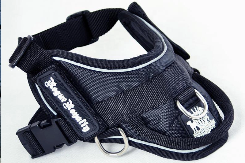 Dog Harness - Quick Fit Black