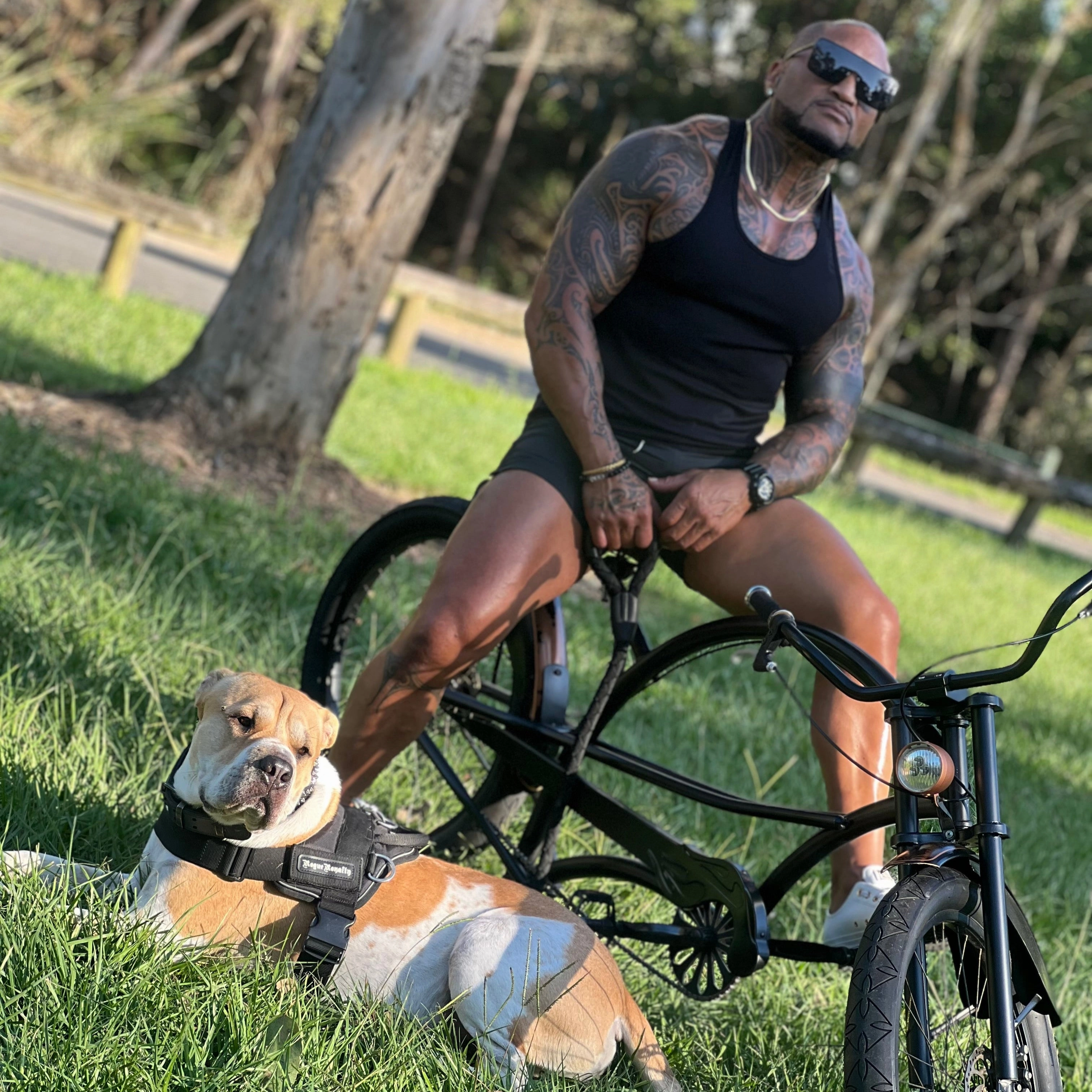 Dog Harness - Quick Fit Black