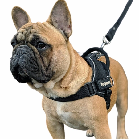 Dog Harness - Quick Fit Black