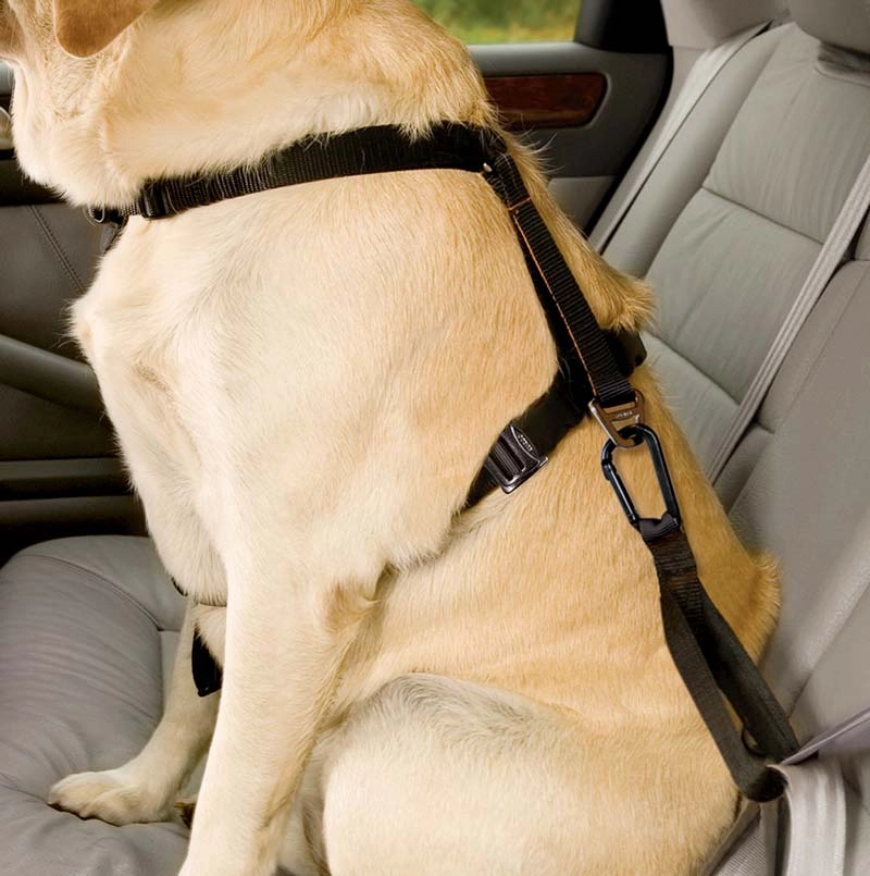 Kurgo Tru-Fit Enhanced Strength Car Harness w/ No-Pull Ring! Close Out - Limited Stock