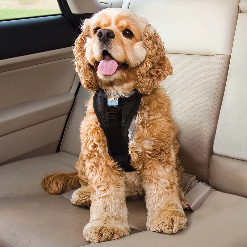 Kurgo Tru-Fit Enhanced Strength Car Harness w/ No-Pull Ring! Close Out - Limited Stock