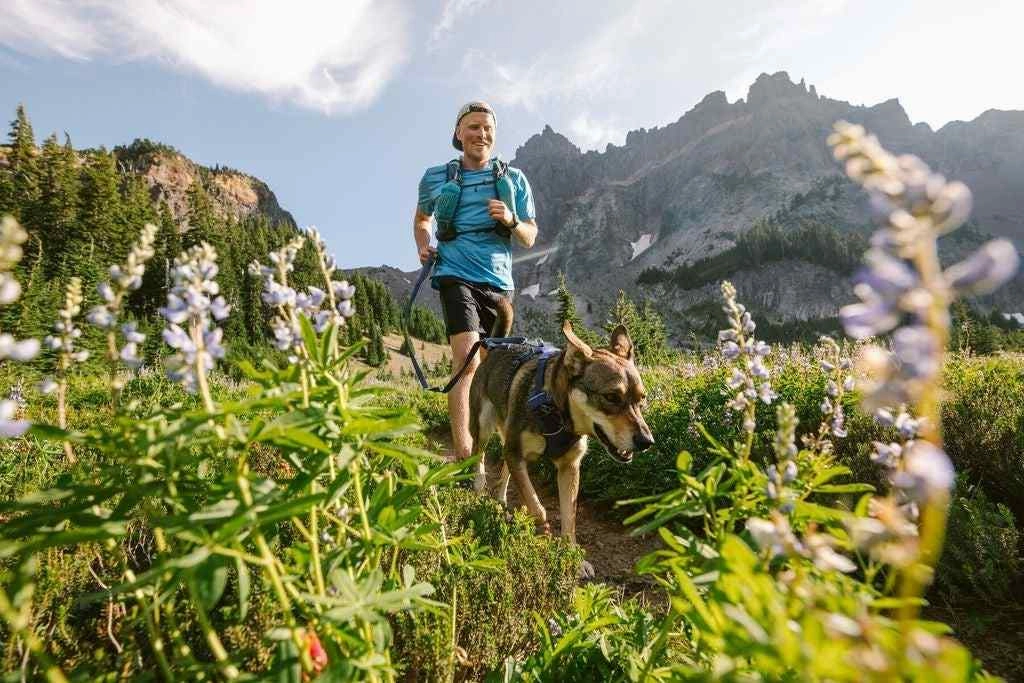 Multi-Functional, Front Range Ruffwear Dog Harness