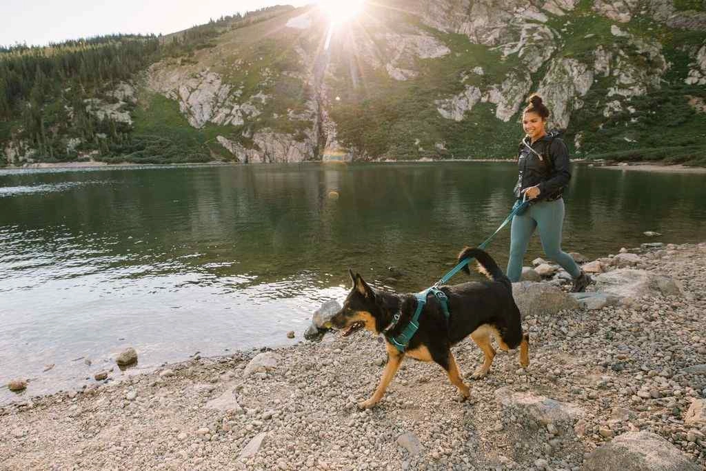 Multi-Functional, Front Range Ruffwear Dog Harness