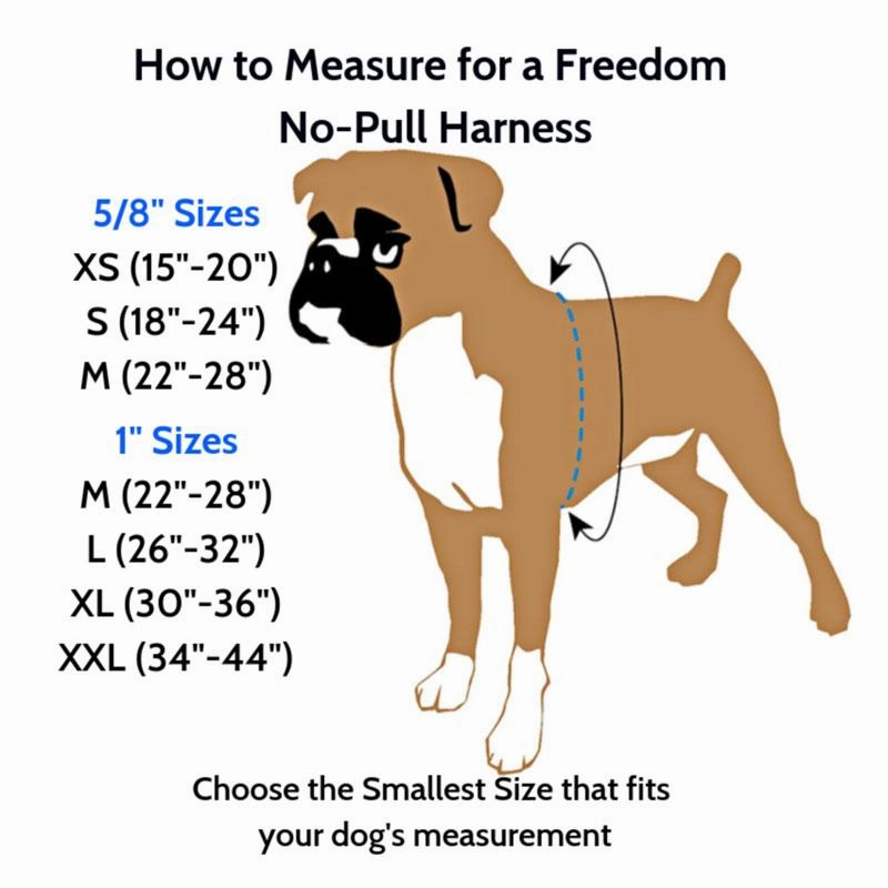 Reflective Freedom Harness & Leash, No-Pull Harness with Padding