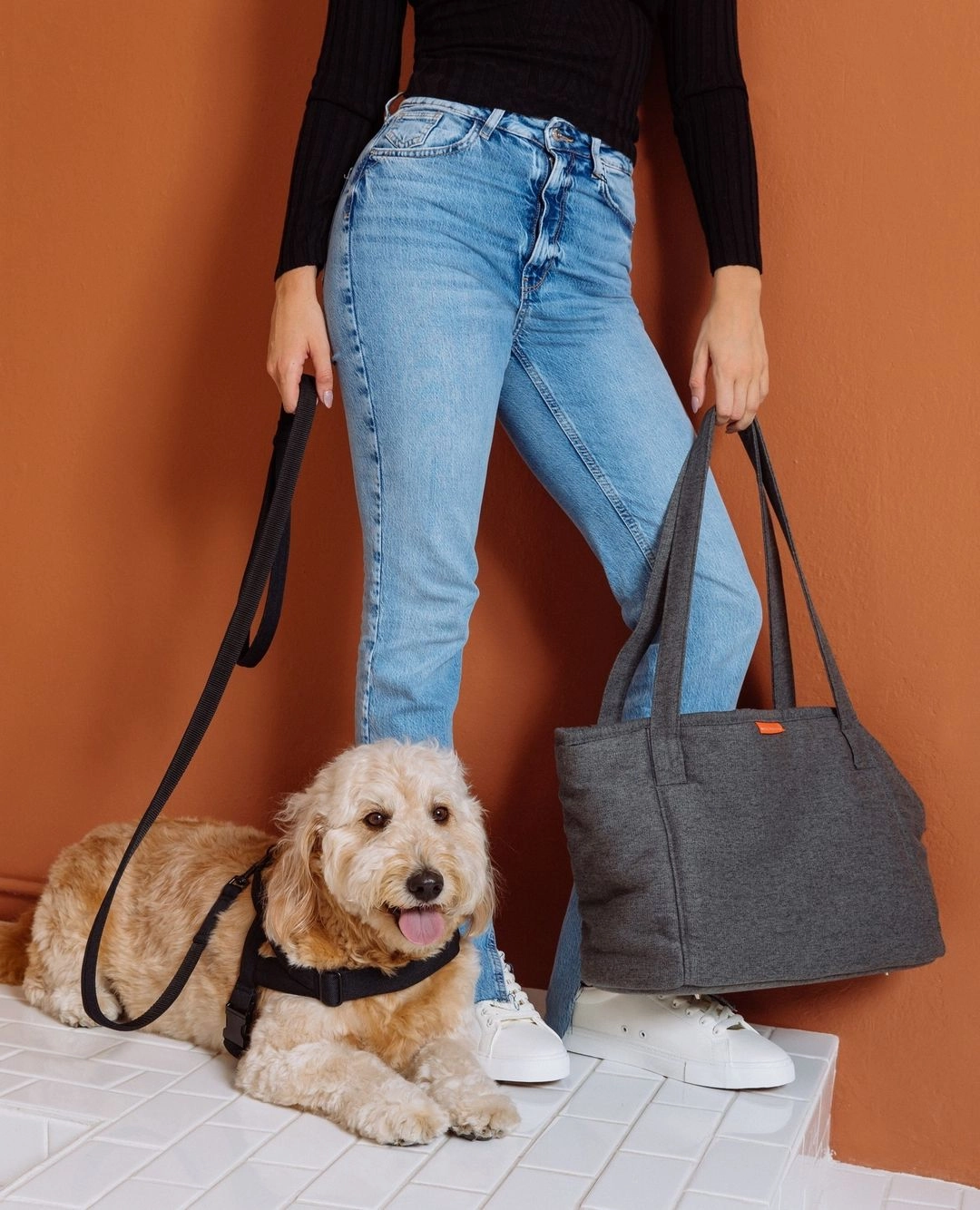 Soft Rock City Leash - Black