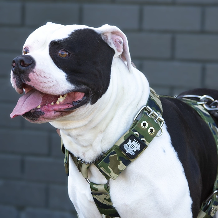 SUPATUFF? Dog Harness Heavy Duty Camo