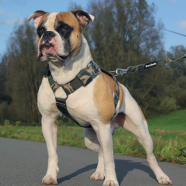 SUPATUFF? Dog Harness Heavy Duty Camo