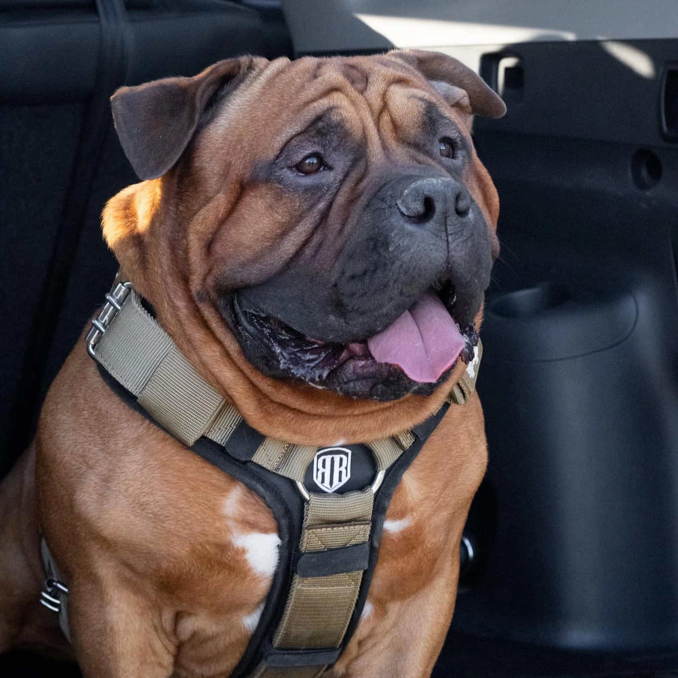 SUPATUFF? Dog Harness Heavy Duty Desert Wolf