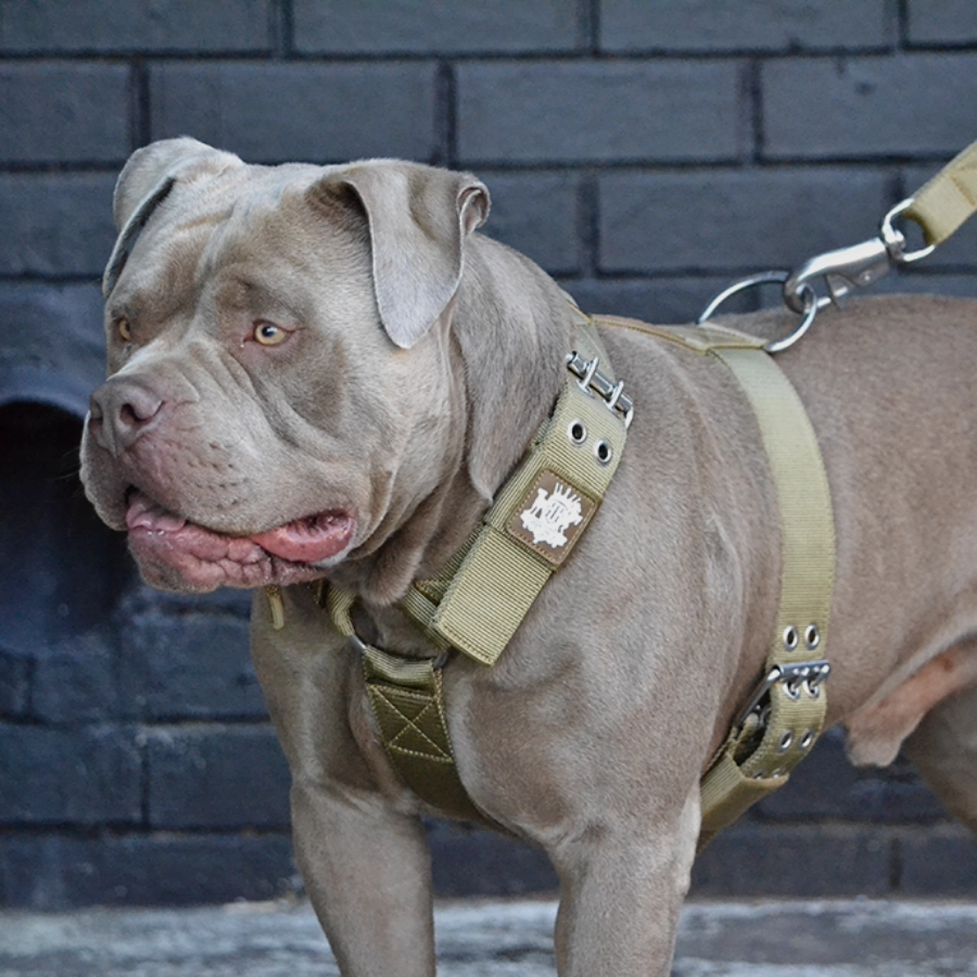 SUPATUFF? Dog Harness Heavy Duty Desert Wolf