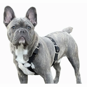 SUPATUFF? Strong Dog Harness Black (Slim Fit)
