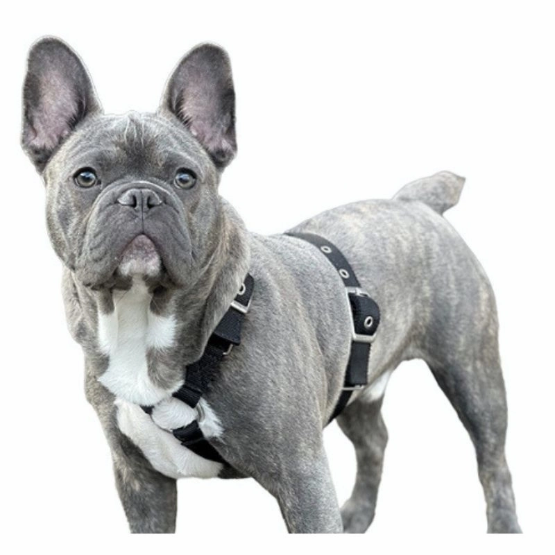 SUPATUFF? Strong Dog Harness Black (Slim Fit)