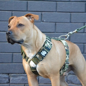 SUPATUFF? Strong Dog Harness Camo (Regular Fit)