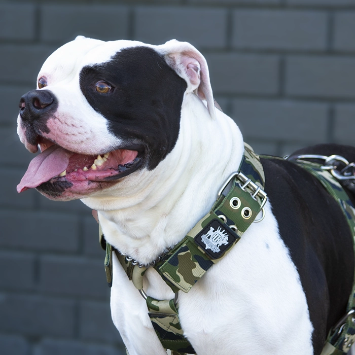 SUPATUFF? Strong Dog Harness Camo (Regular Fit)