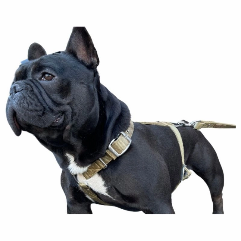 SUPATUFF? Strong Dog Harness Desert Wolf (Slim Fit)
