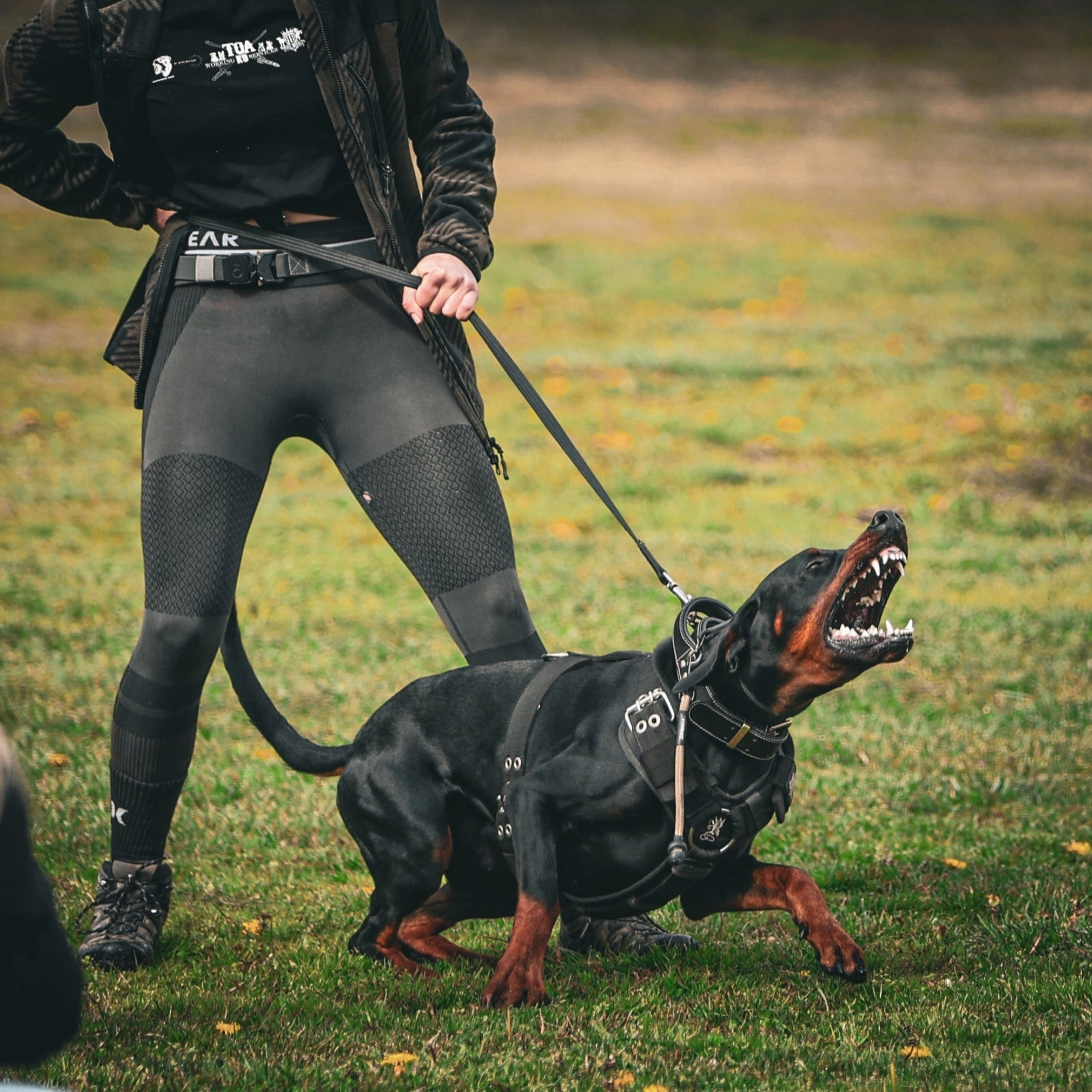 SUPATUFF? Strong Dog Harness Heavy Duty - Black