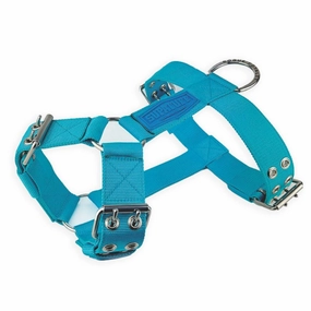 SUPATUFF? Strong Dog Harness Turquoise (Regular Fit)