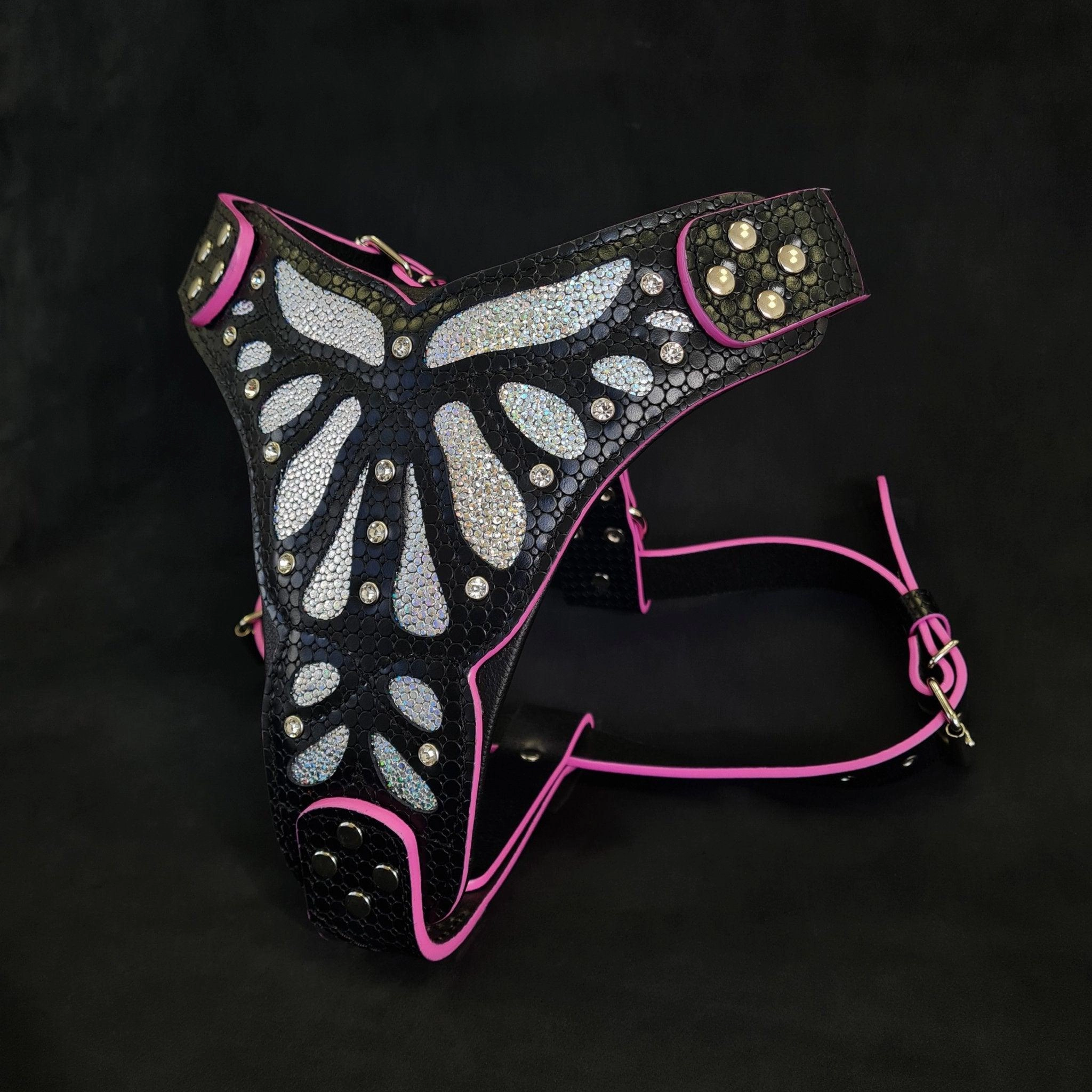 The ''Ariel'' harness