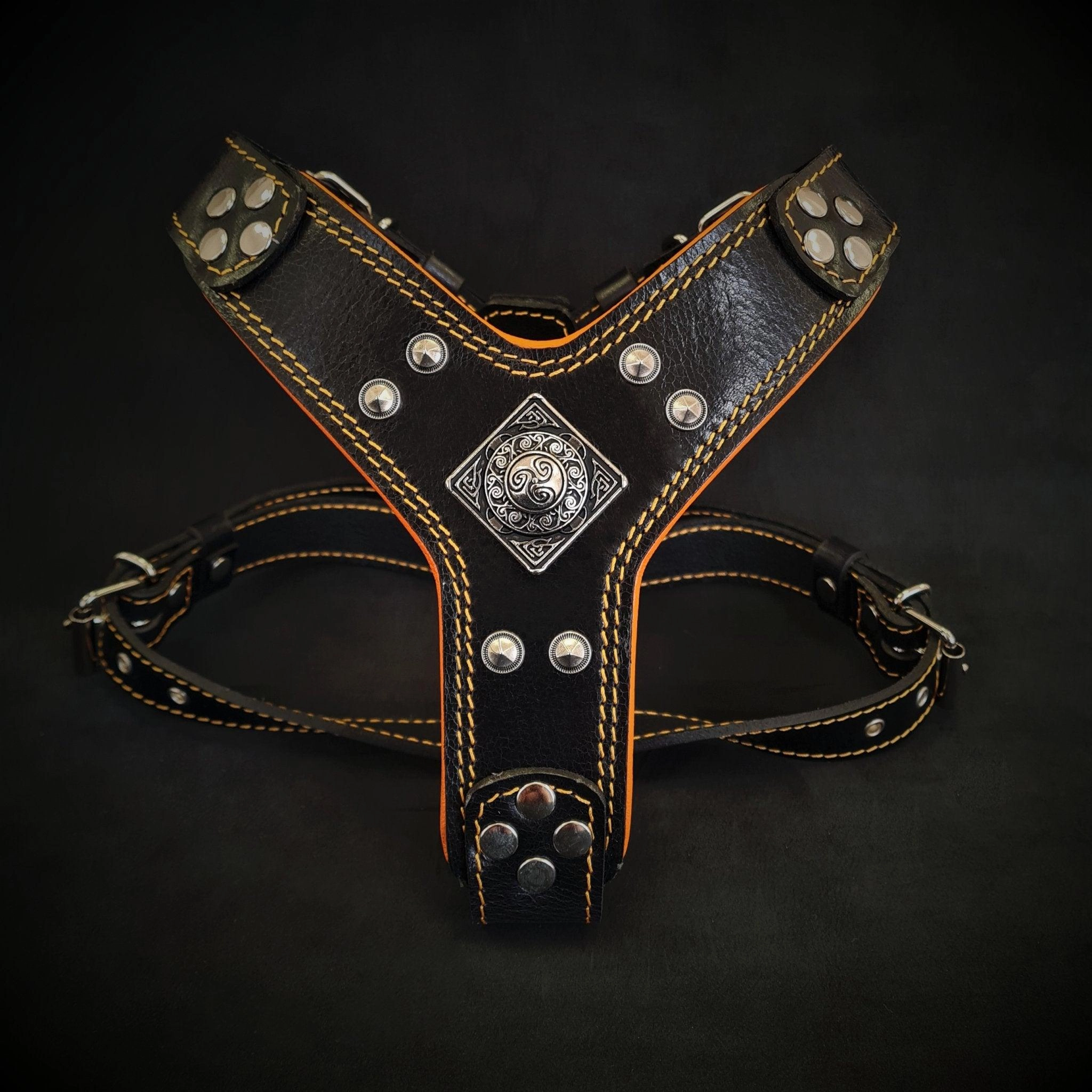 The ''Eros'' harness Black & Orange Small to Medium Size